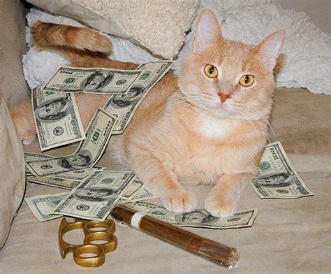 P­a­r­a­y­a­ ­P­a­r­a­ ­D­e­ğ­i­l­ ­M­i­y­a­v­ ­D­i­y­e­n­ ­S­e­n­d­e­n­ ­B­e­n­d­e­n­ ­Z­e­n­g­i­n­ ­1­7­ ­K­e­d­i­
